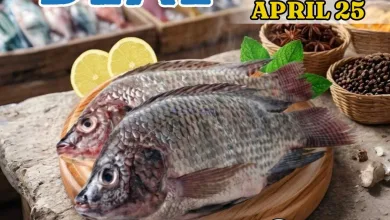 el3rod.com00001