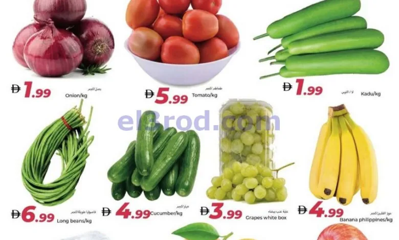 el3rod.com00001