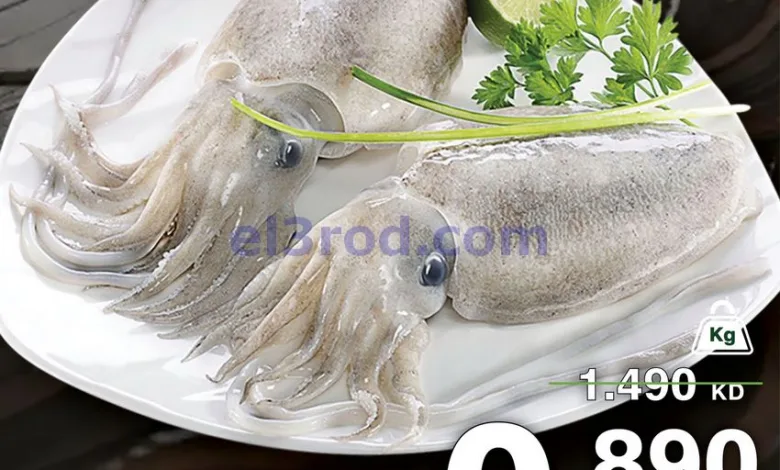 el3rod.com00001