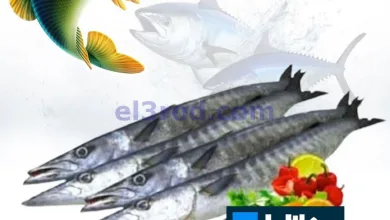 el3rod.com00001