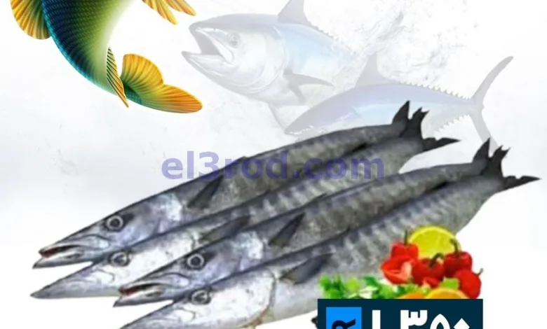 el3rod.com00001