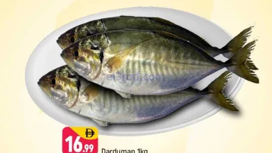 el3rod.com00001