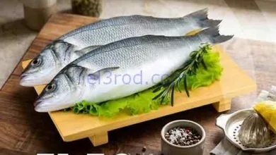 el3rod.com00001