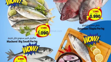 el3rod.com00001