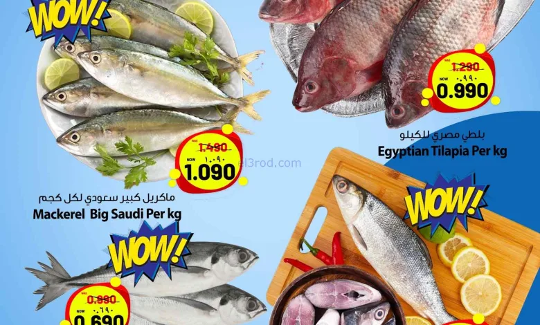 el3rod.com00001