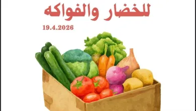 el3rod.com00001