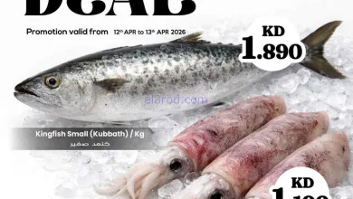 el3rod.com00002