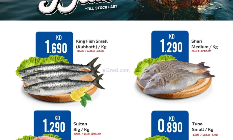 el3rod.com00002
