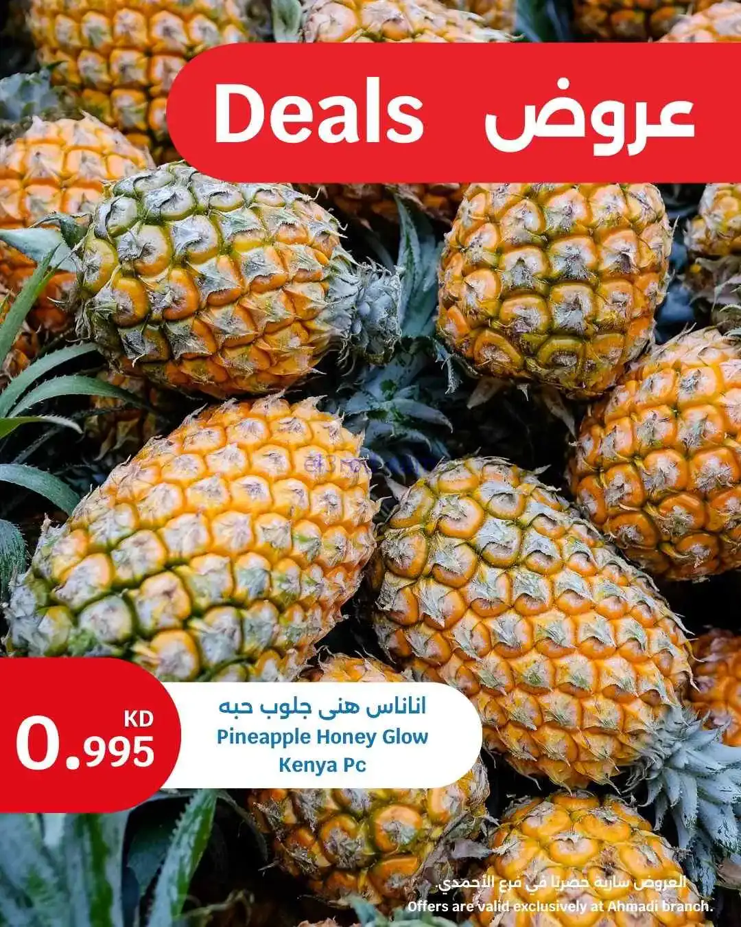 عروض سيتى ماركت الأحمدي|طازجة|20 حتى 21-4-2026