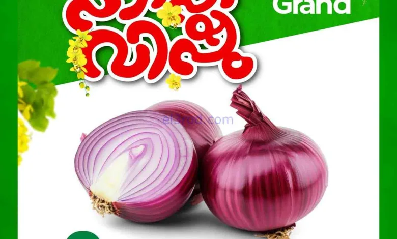 عروض جراند هايبر الكويت|بصل|13 حتى 15-4-2026 el3rod.com00003
