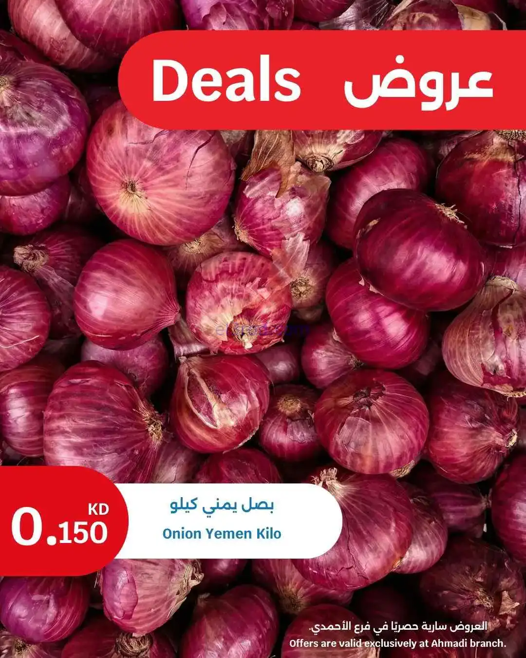 عروض سيتى ماركت الأحمدي|طازجة|20 حتى 21-4-2026