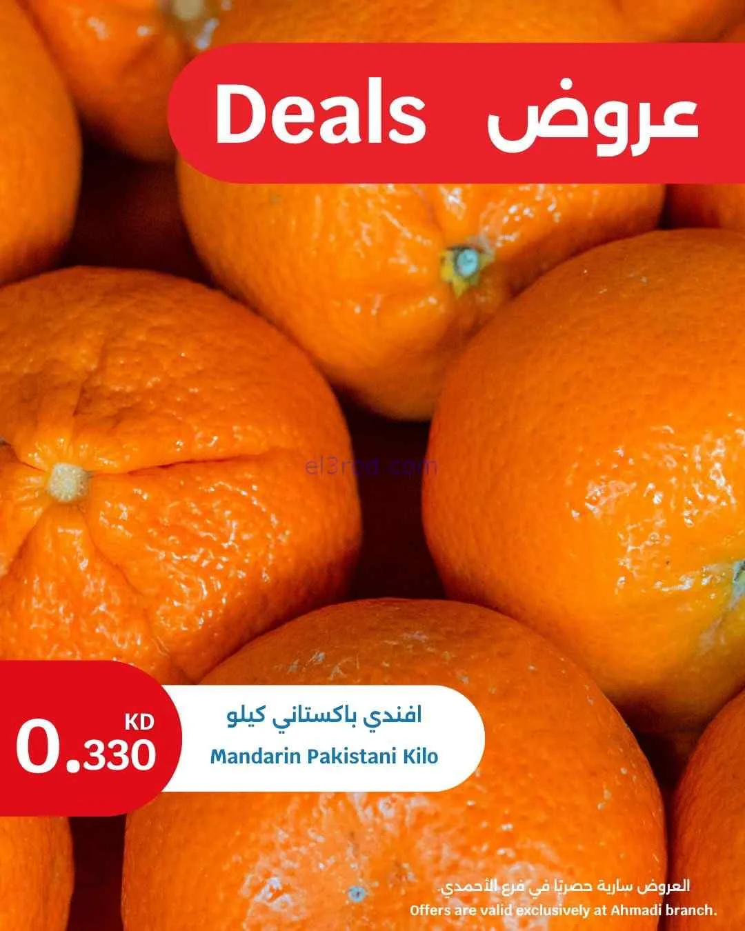 عروض سيتى ماركت الأحمدي|طازجة|20 حتى 21-4-2026