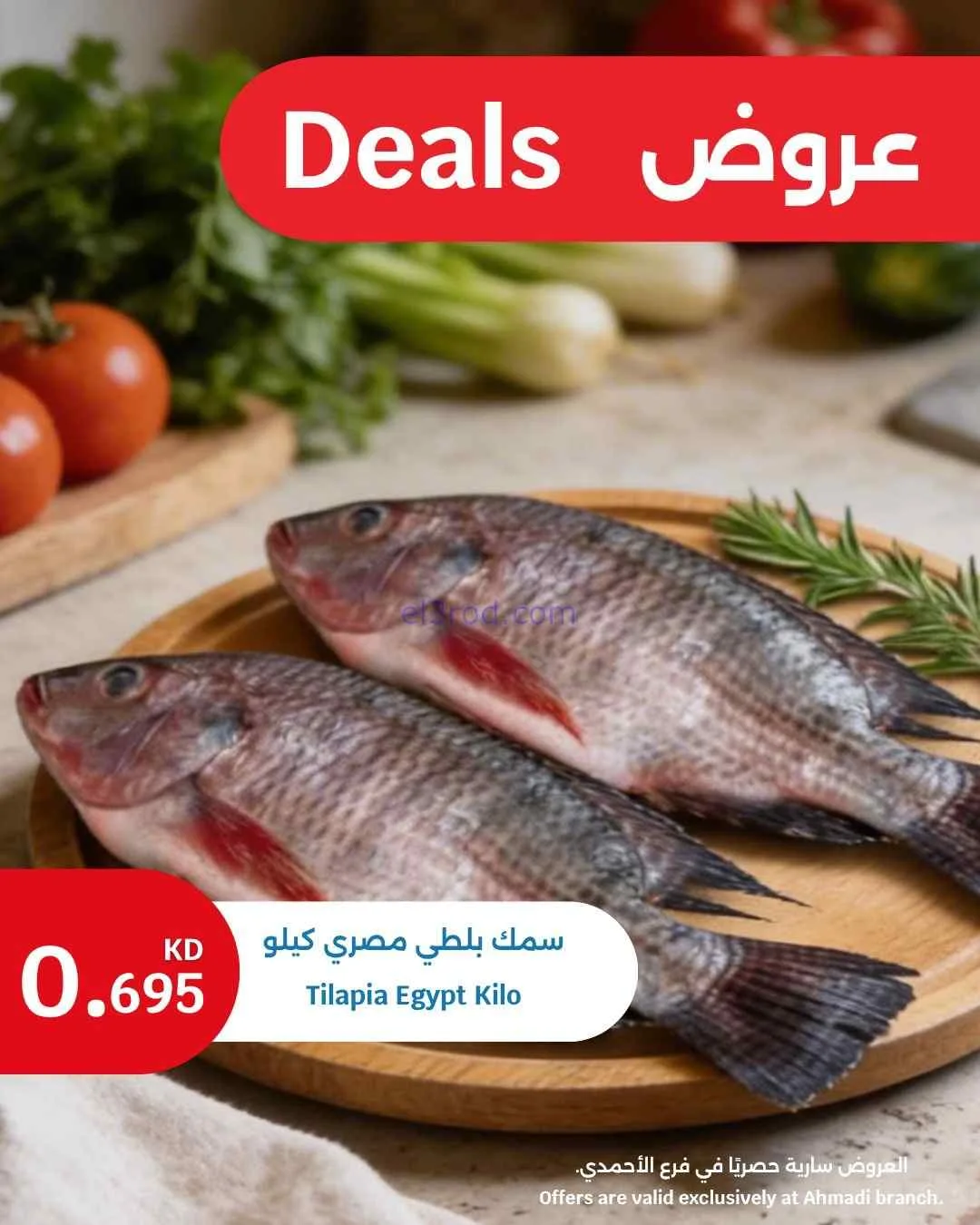 عروض سيتى ماركت الأحمدي|طازجة|20 حتى 21-4-2026