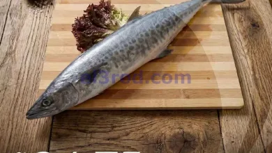 el3rod.com00001