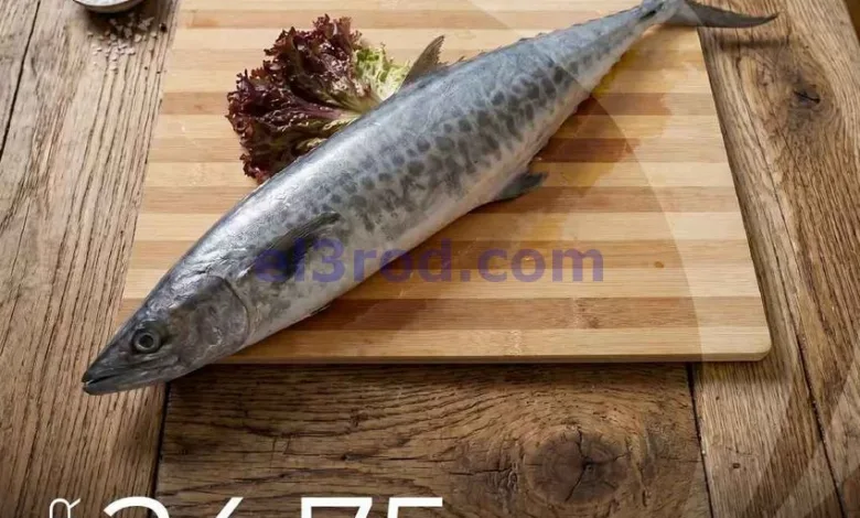 el3rod.com00001