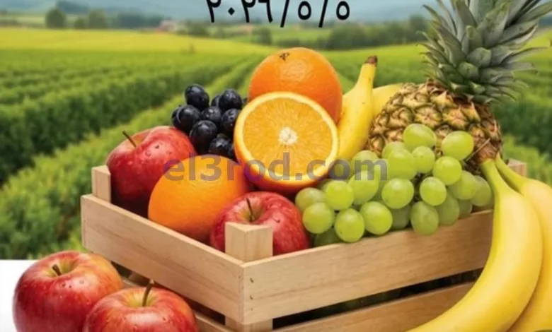 el3rod.com00001