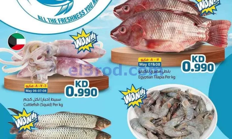 el3rod.com00001
