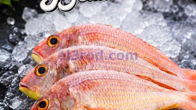 el3rod.com00001