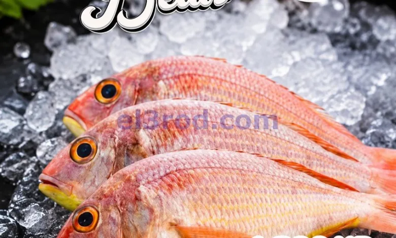 el3rod.com00001