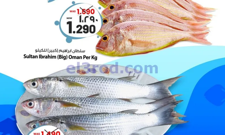 el3rod.com00001
