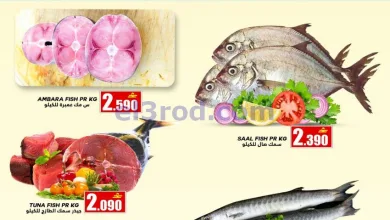 el3rod.com00001