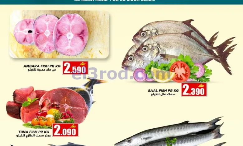 el3rod.com00001