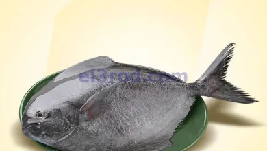 el3rod.com00001
