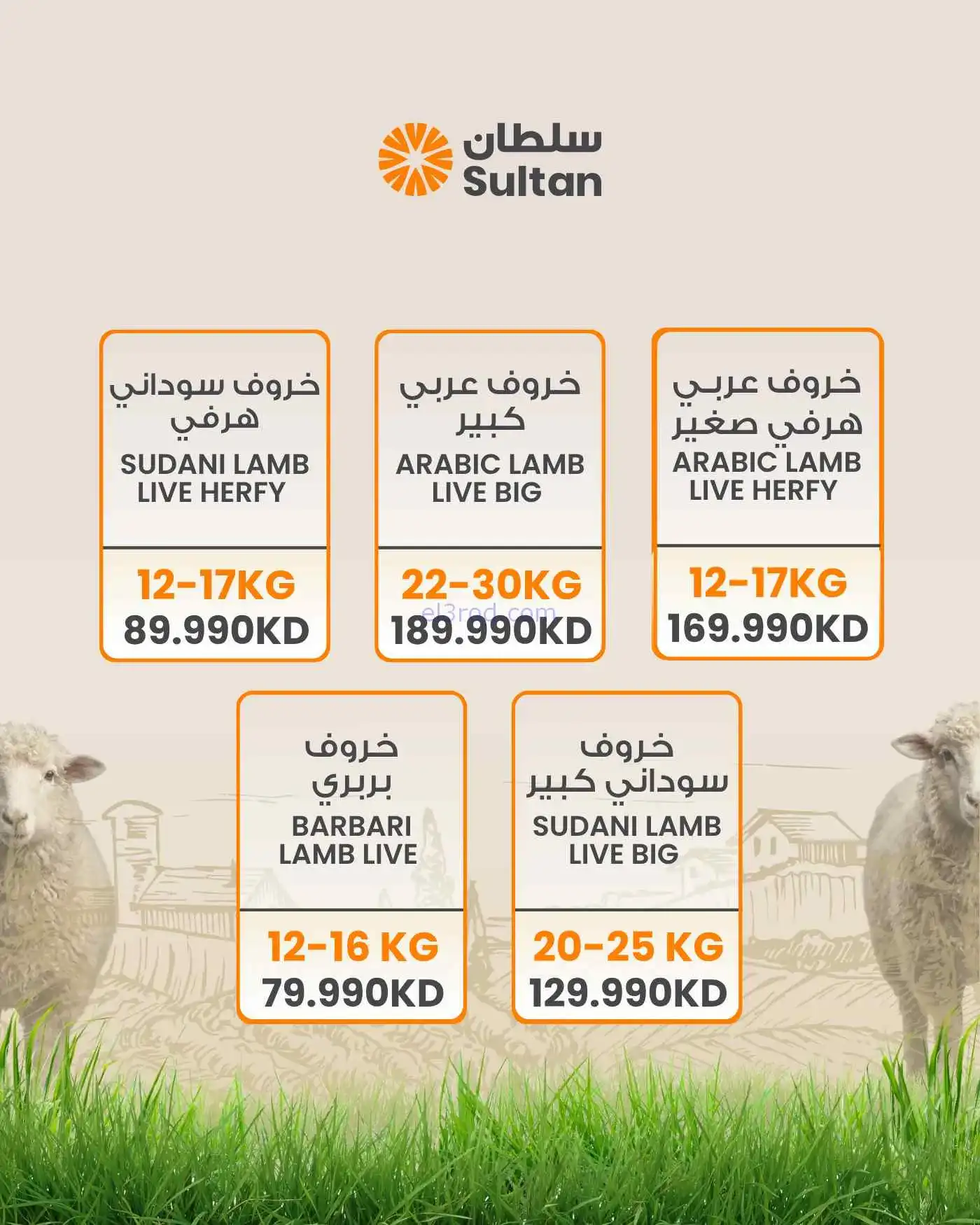 عروض سلطان ماركت كويت|أضاحي الأضحى|من 19-5-2026