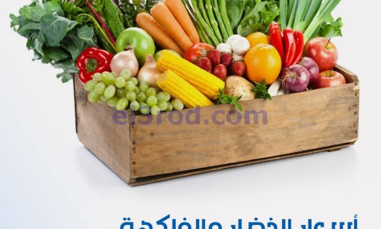 el3rod.com00001