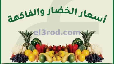 el3rod.com00002