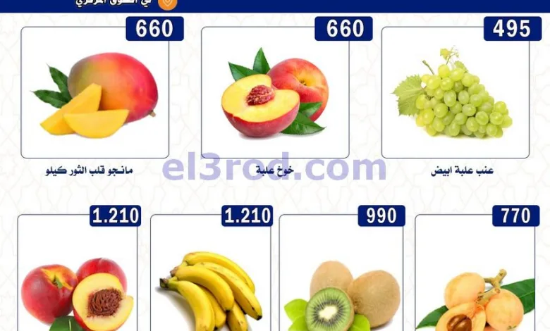 el3rod.com00003