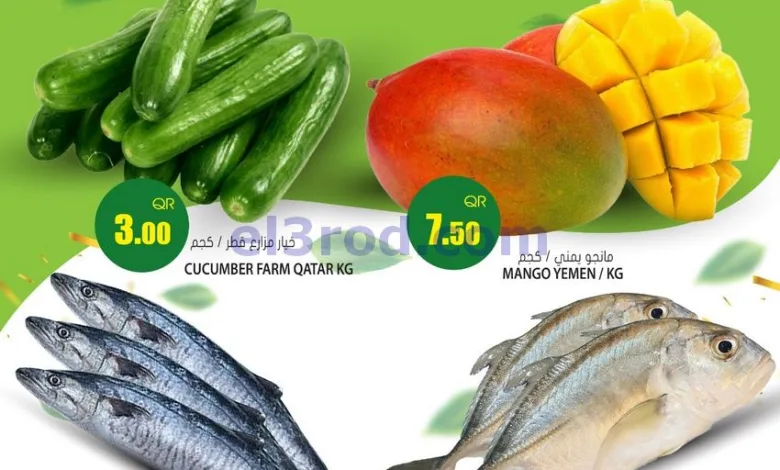 el3rod.com00004