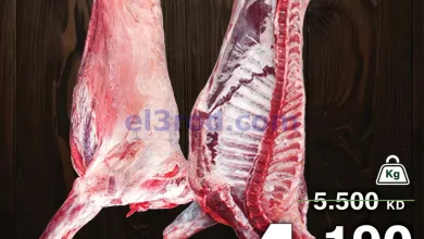 el3rod.com00004