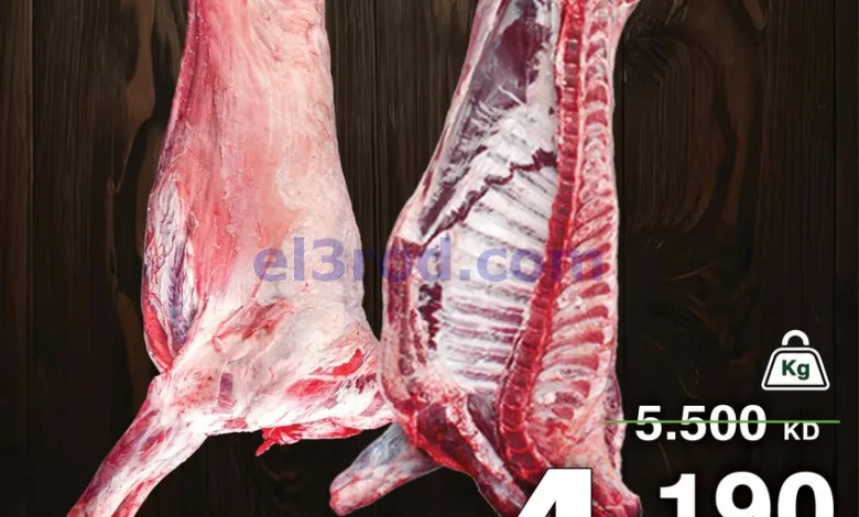 el3rod.com00004
