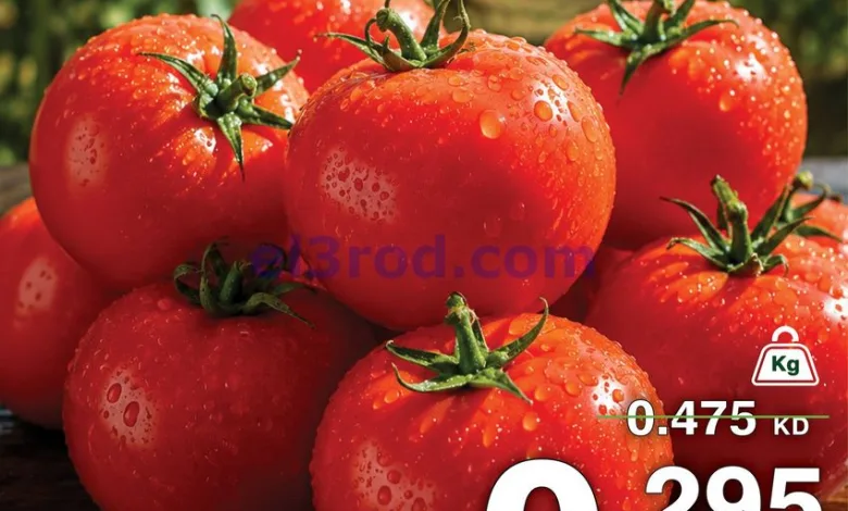 el3rod.com00006