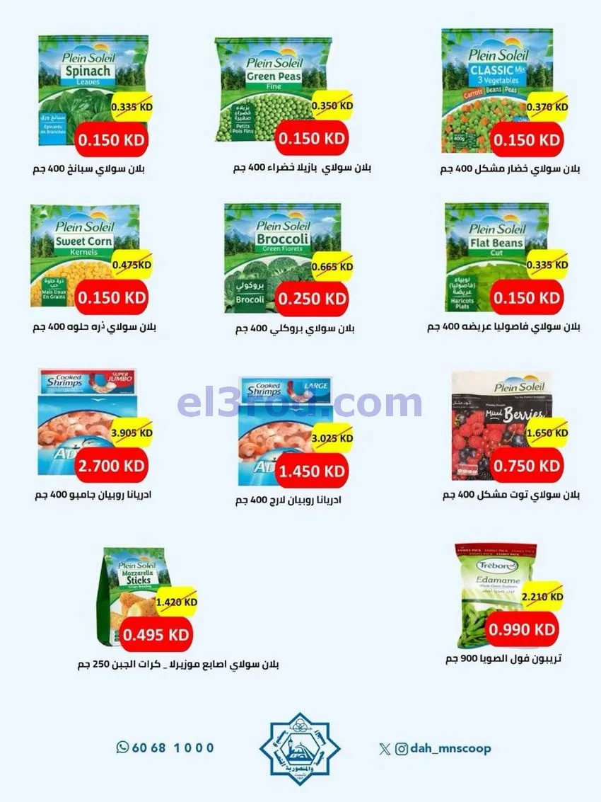 عروض جمعية الضاحية والمنصورية|25 حتى 31-5-2026