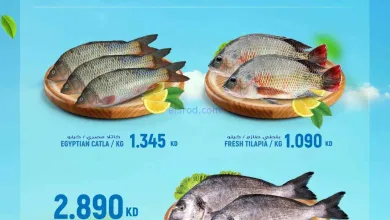 el3rod.com00001