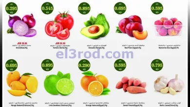 el3rod.com00001