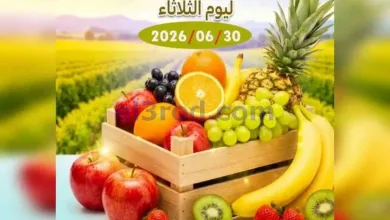 el3rod.com00001