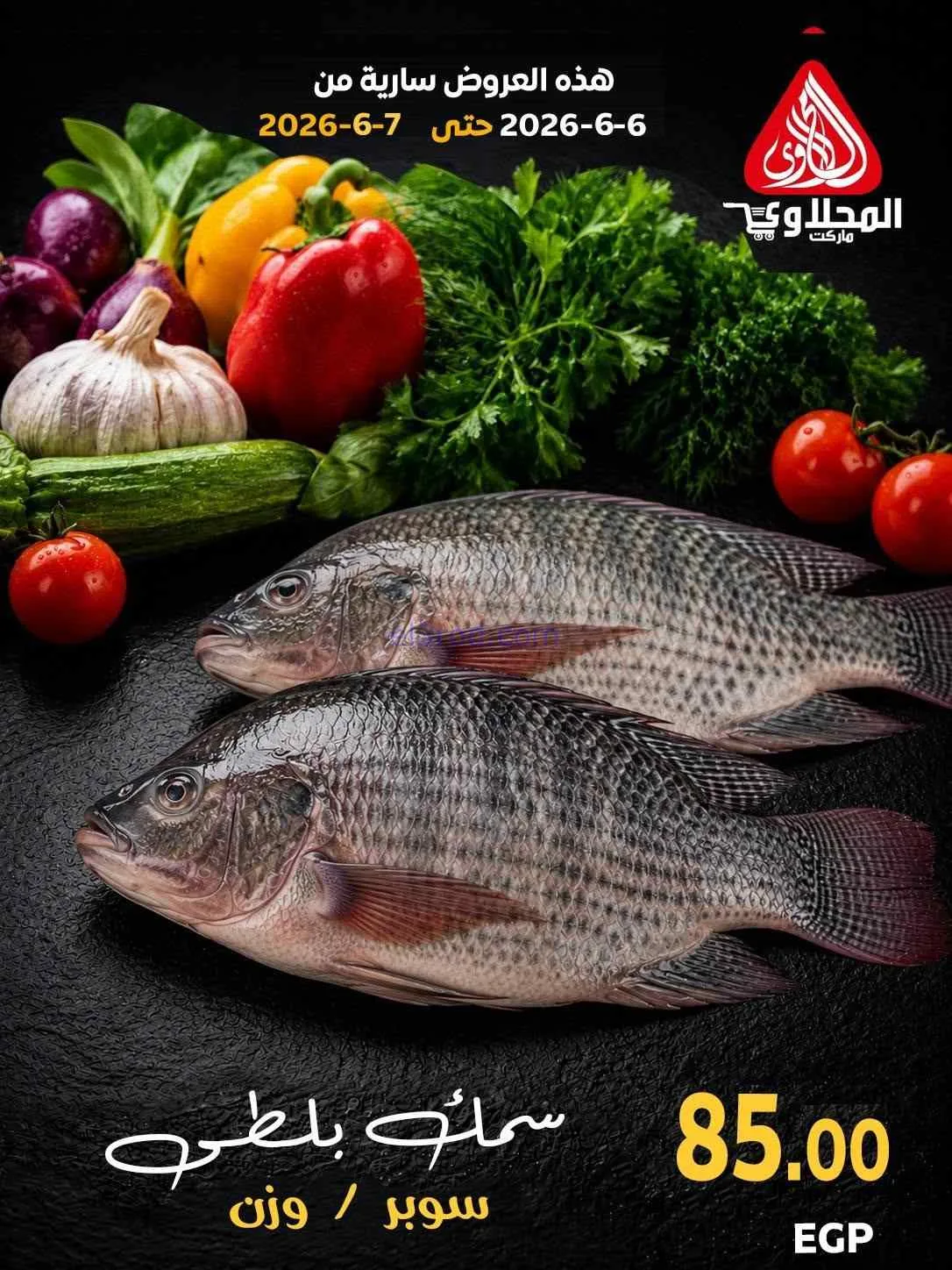 عروض المحلاوى مصر|أكل بحري|6 حتى 7-6-2026