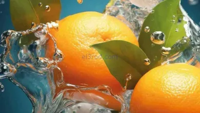 el3rod.com00001