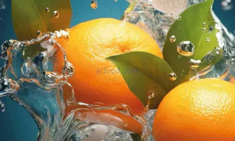 el3rod.com00001