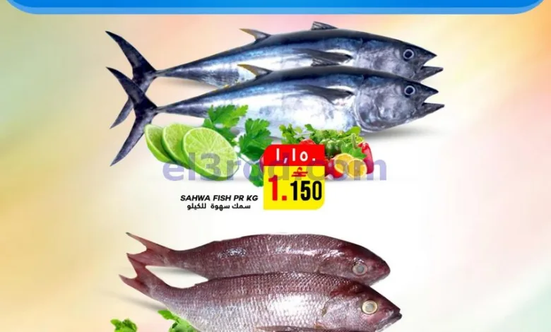el3rod.com00001