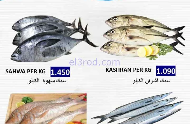 el3rod.com00001