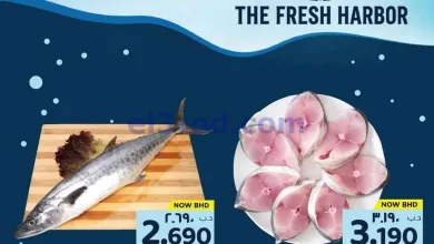 el3rod.com00001