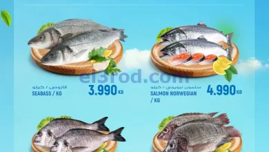 el3rod.com00001