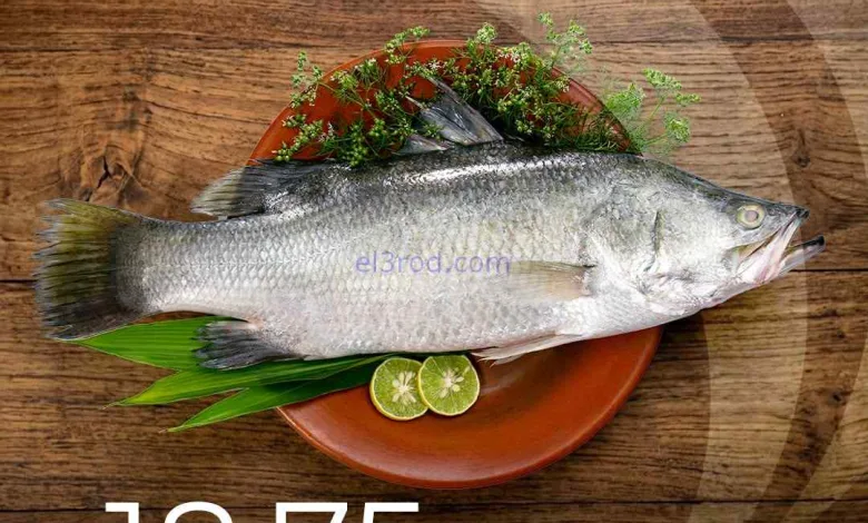 el3rod.com00001
