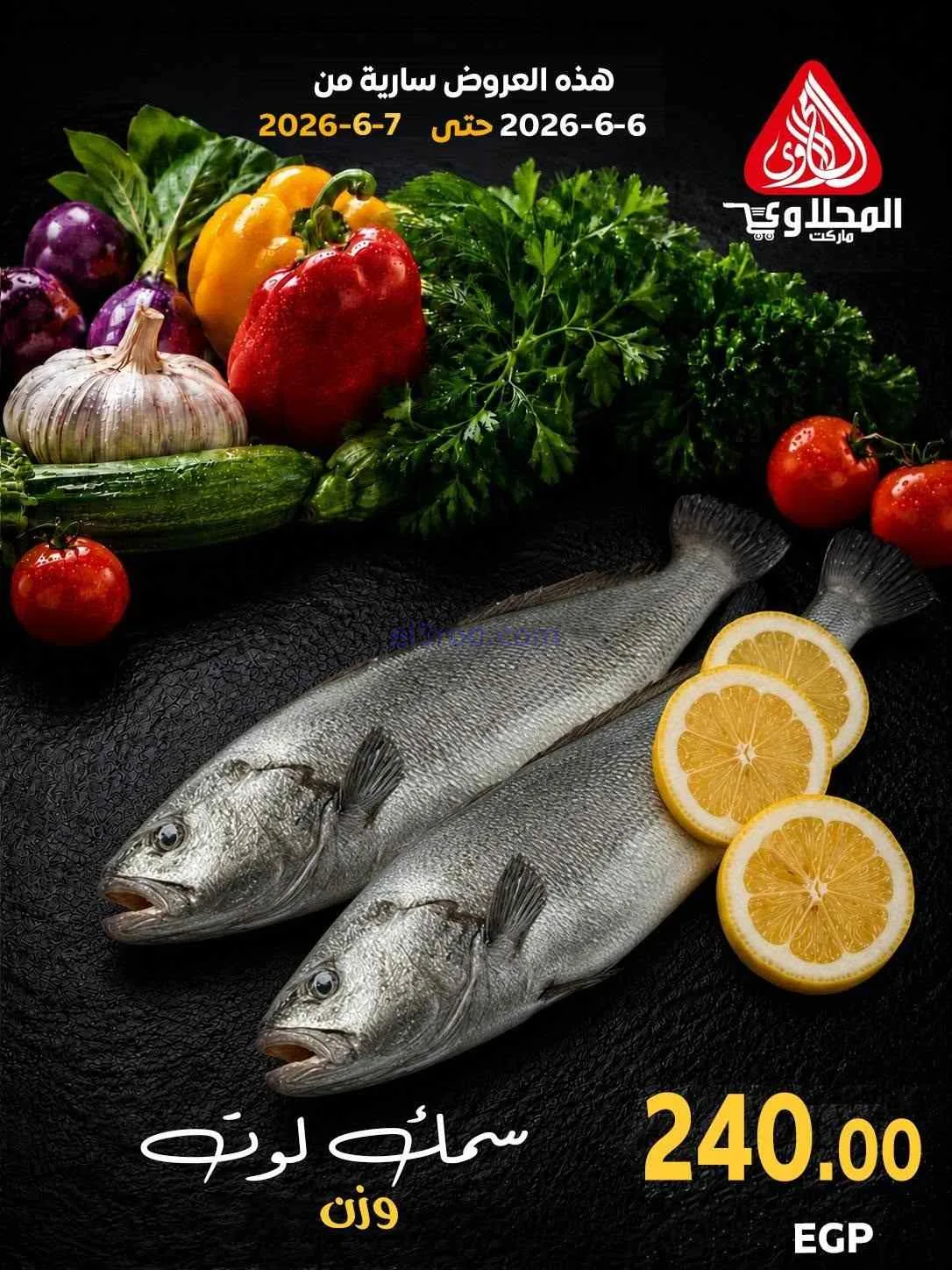 عروض المحلاوى مصر|أكل بحري|6 حتى 7-6-2026