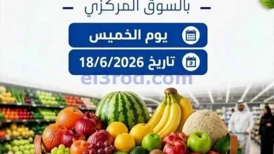 el3rod.com00002