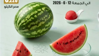 el3rod.com00003